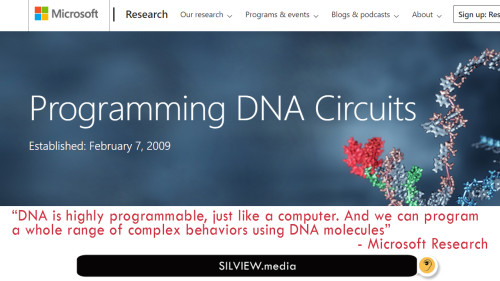 programming-dna-circuits-micro-dna-cover