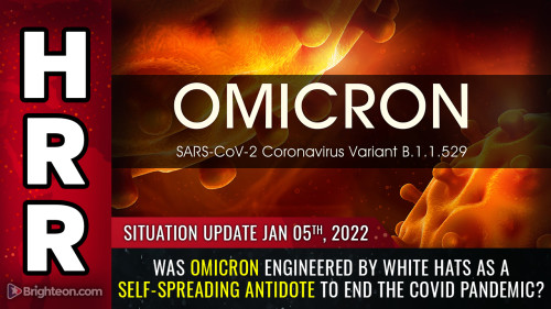 omicron-e-stato-progettato-come-antidoto-ad-autodiffusione-per-porre-fine-alla-pandemia-di-covid-hrr-2022-01-05-situation-update