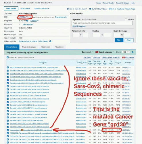 siero-mrna-gene-gp130-cancer-gene